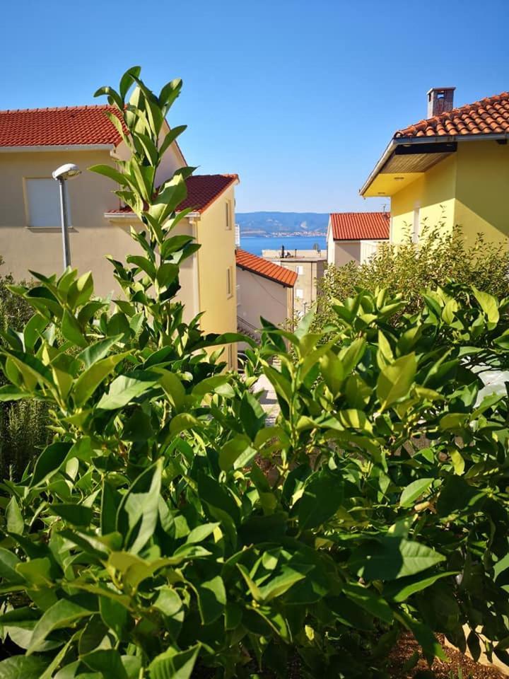 Apartmani Livajic Duće Zewnętrze zdjęcie
